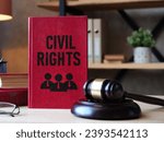 Civil Rights are shown using a text on the book