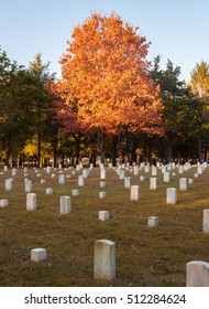 Civil War Cemetery At Stones River National Battlefield