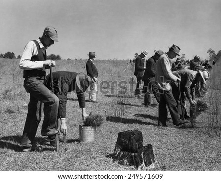 Civilian Conservation Corps planting trees, ca. 1935. Some wear worn hats and suit jackets, indicating their previous employment.
