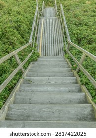 Civilization inside nature, path through wilderness, wild nature and human presence, journey through protected landscape, responsible access to nature, sustainable tourism, environmental awareness, personal transition, path forward, coexistence of infrastructure and wilderness, coastal dune access, travel storytelling