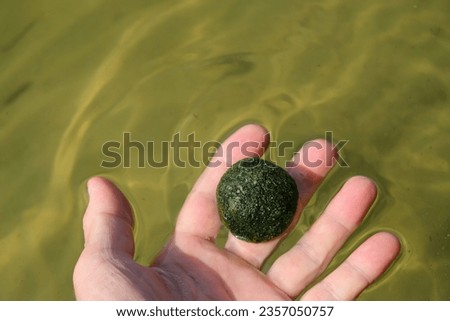 Cladophora ball on the woman's hand. Water. Sandy bottom. Copy space.