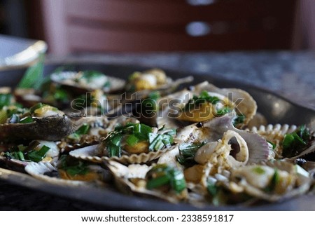 clam cockleshell food fresh seafood