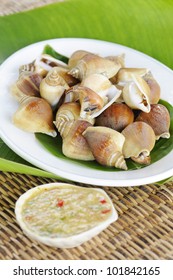  Clam Foot Whip With Hot And Spicy Sauce- Shellfish - Shell - Clam - Bivalve - Oyster -  Mussels - Scallops - Thai  Scallops