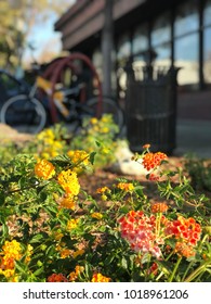 Claremont, California The Village