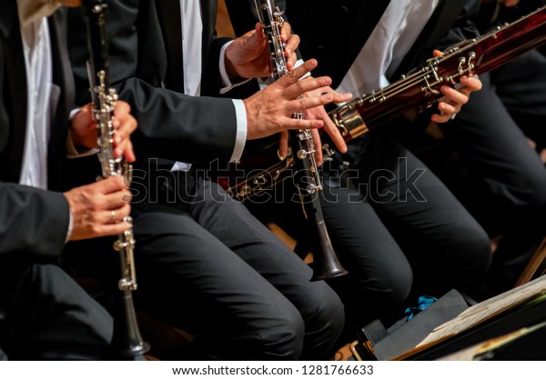 Clarinet and Oboe players performing in a symphony\
orchestra,unrecognizable\
people