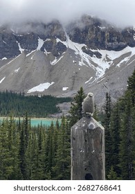 Clarks nutcracker bird on a post in front of Bow Lake, Alberta on a cloudy spring day 