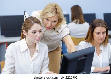 Class Of Women In Front Of Computer Scree