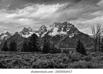 Classic black and white image of the snow-capped Grand Teton Mountain Range, pine trees and sagebrush with threatening storm clouds overhead in Grand Teton National Park Wyoming, USA  - Powered by Shutterstock