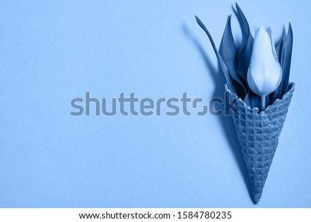 Classic blue background with tulip flowers in icecream cone, copy space. Color of the year 2020. Nature background. Top view, flat lay. Womens Day, Mothers Day, Valentine's Day, birthday