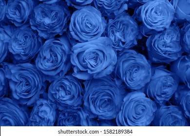 18,209 Flowery Background Blue Images, Stock Photos & Vectors ...