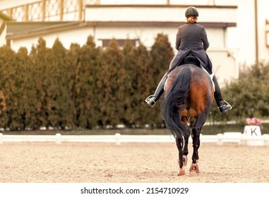Classic Dressage horse. Equestrian sport. Dressage of horses in the arena. Sports stallion in the bridle. The leg of the rider in the stirrup. Equestrian competition show