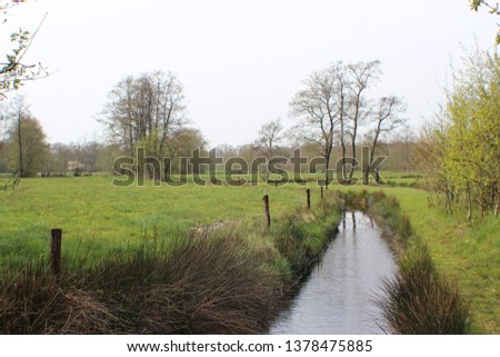 Classic Dutch landscape. Meadow with ditch canal and trees edge.