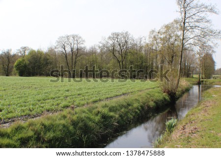 Classic Dutch landscape. Meadow with ditch canal and trees edge.
