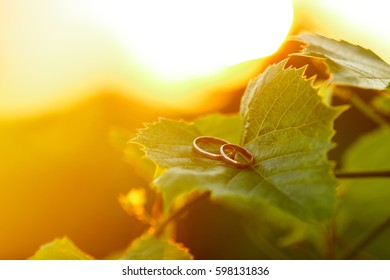 Classic gold wedding rings lying on grapes leaves and shining on sunlight. Summer, sunset, outdoor - concept of love and marriage - Powered by Shutterstock