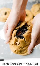 Classic And Gooey Chocolate Chip Cookie