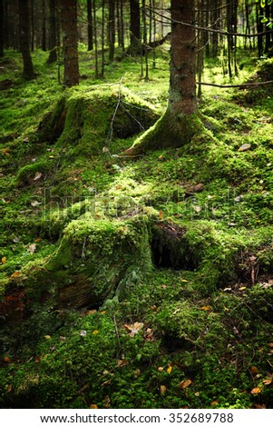 Similar – Image, Stock Photo Forest in spring