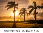 Classic Hawaiian Palm Tree Sunset. Sunsets in Hawaii are like no other. Here on the Island of Kauai we have colorful imagery that can only bring about a true sense of a tropical paradise.