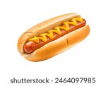 Classic hot dog with a zigzag of mustard on a soft bun isolated