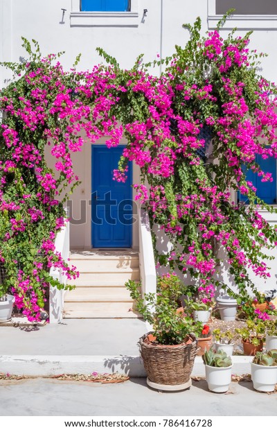 Classic Mediterranean Style Blue Door Surrounded Stock Photo 786416728 ...