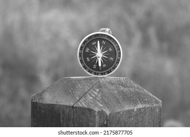 63,113 Compass nature Images, Stock Photos & Vectors | Shutterstock