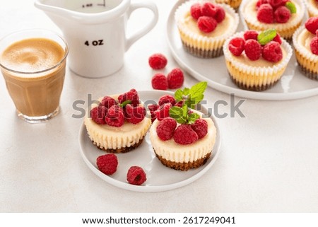Classic New York cheesecakes in individual cups topped with fresh raspberry served with coffee