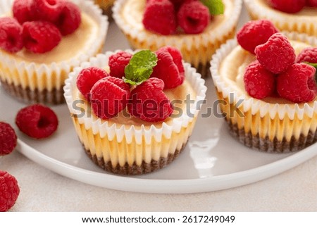 Classic New York cheesecakes in individual cups topped with fresh raspberry served with coffee