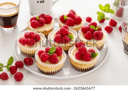 Classic New York cheesecakes in individual cups topped with fresh raspberry served with coffee