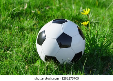 Classic Soccer Ball Lying On The Bright Green Grass On The Football Field In The Background Of The Stands For The Fans At The Sports Stadium Close-up In A Large Sports Center For Football Players