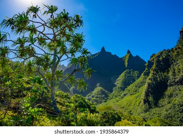 Classic tropical Hawaiian scenery at Limahuli Garden on the island of Kauai, Hawaii.