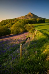 Classic View On Roseberry Topping, North Yorkshire, United Kingdom