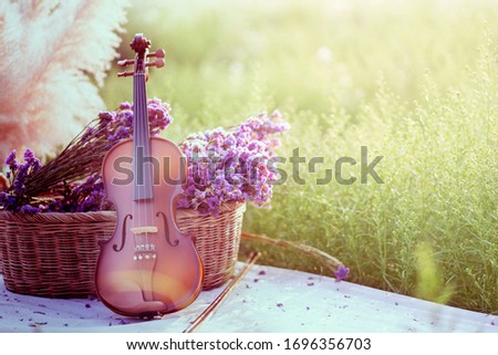 classic violin in flower garden
