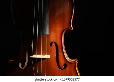 Classic violin on black background, closeup view