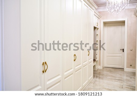 Classic wardrobe and interior door in contemporary bright hallway. Classic furniture. Furniture manufacture