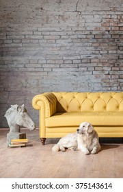 classic yellow sofa living room statue with brick wall and dog