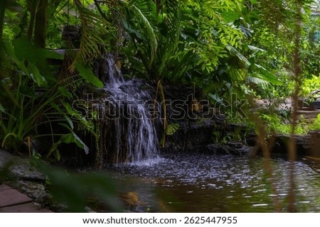 Classical Chinese garden design:water stone and plants