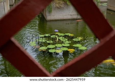 Classical Chinese garden design:water stone and plants