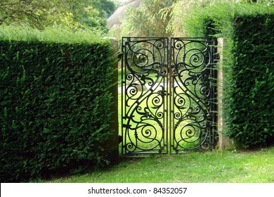 Classical design black wrought iron gate in a beautiful green garden
