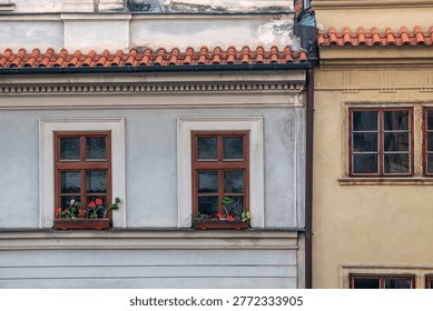 Classical facade with repeated windows and pavement