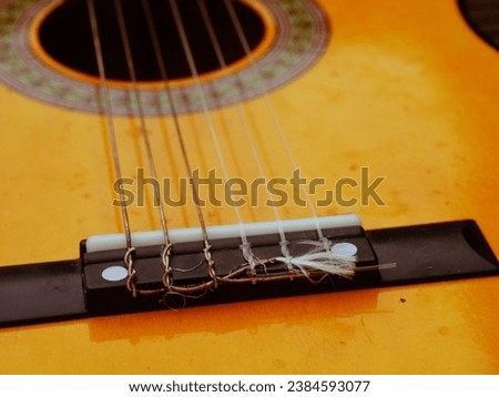 Classical guitar strings and frets medium shot zoom selective focus