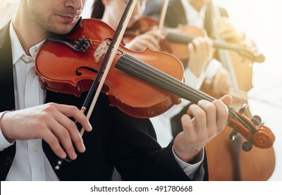 Classical music symphony orchestra string section performing, male violinist playing on foreground, music and teamwork concept