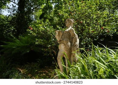 A classical stone statue set in a lush green garden among thick ferns and trees. Soft sunlight filters through the foliage, creating a play of light and shadow on the antique figure. This atmospheric shot captures the tranquility and aesthetic of an old park or botanical garden.