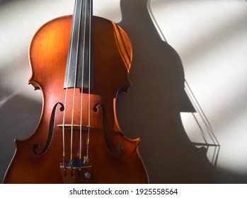 Classical strings instrument with shadows