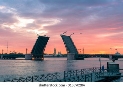 The classical view of the open Palace Bridge and Peter and Paul Fortress at dawn. Saint Petersburg. Russia - Powered by Shutterstock