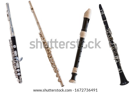 classical wind musical instrument flute-Piccolo, set of four flutes isolated on a white background