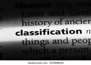 CLASSIFICATION CAMBRIDGE DICTIONARY visual data 4