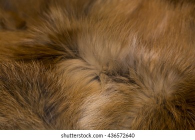 caldo asiatico sesso PornHub