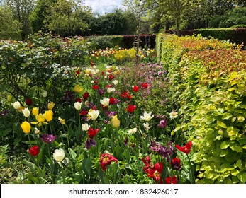 Claude Monet Giverny Garden Photo