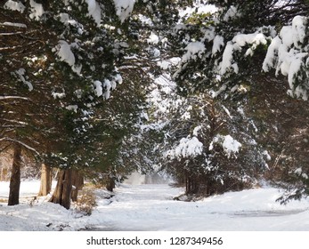 Claude Moore Park, Loudoun County, Virginia