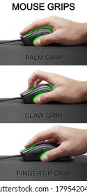 Claw grip, fingertip grip and palm grip of a mouse. Mouse grips. Holding a computer mouse. Visualisation of a mouse grip.