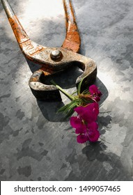 Claw Hammer, Pliers, And A Flower. Set Of Different Tools On Metal Background With Flowers. Present For Laborday